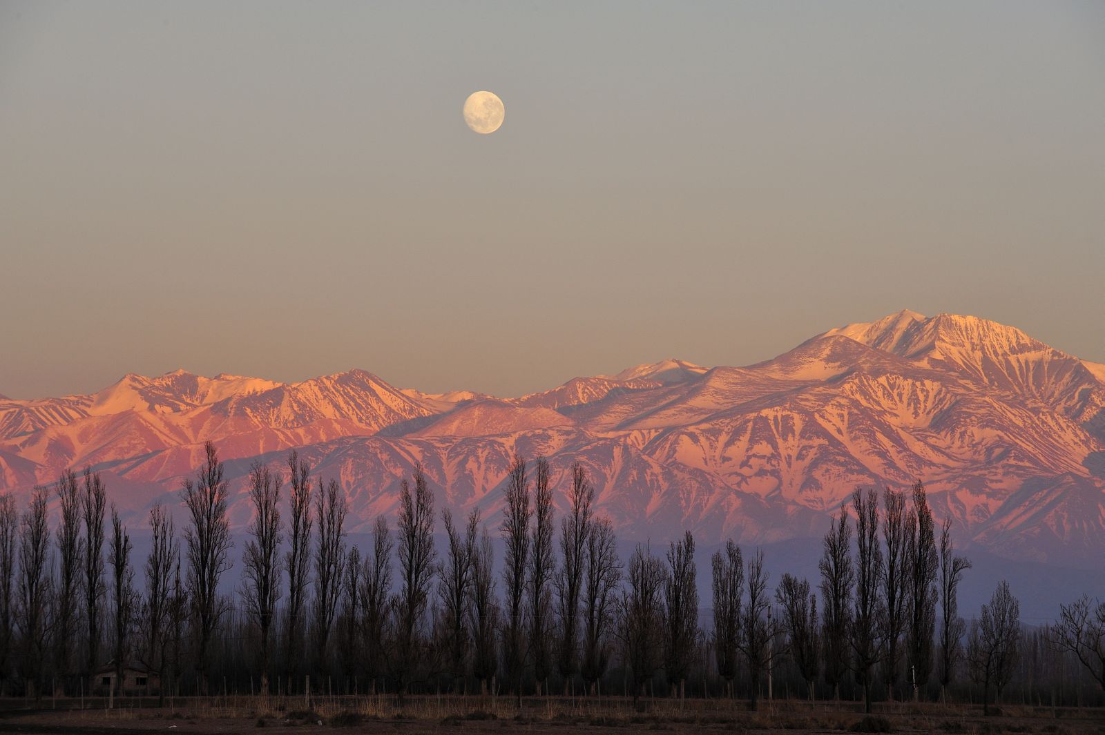 Mendoza in Argentina