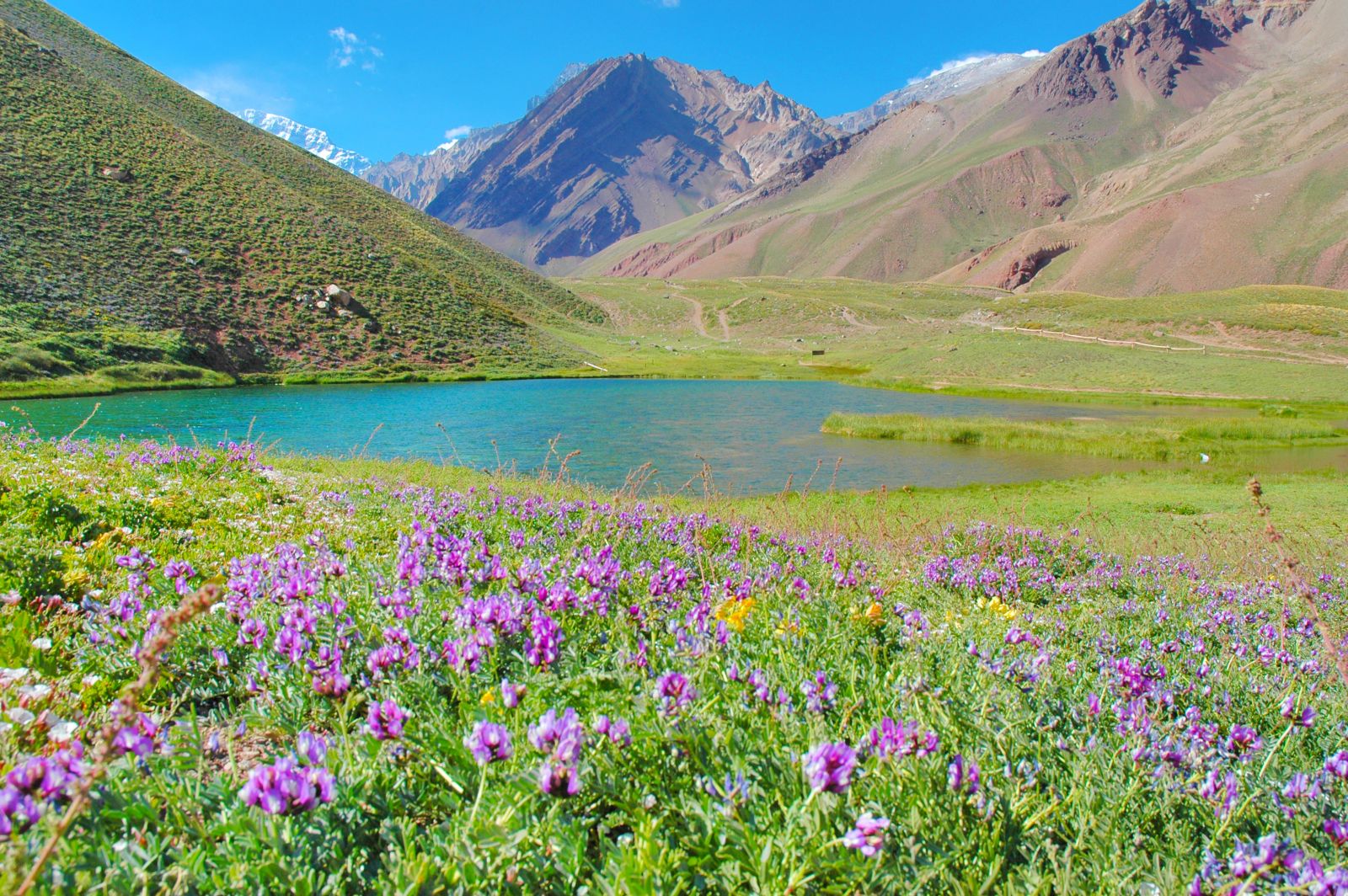Mendoza countryside in Argentina