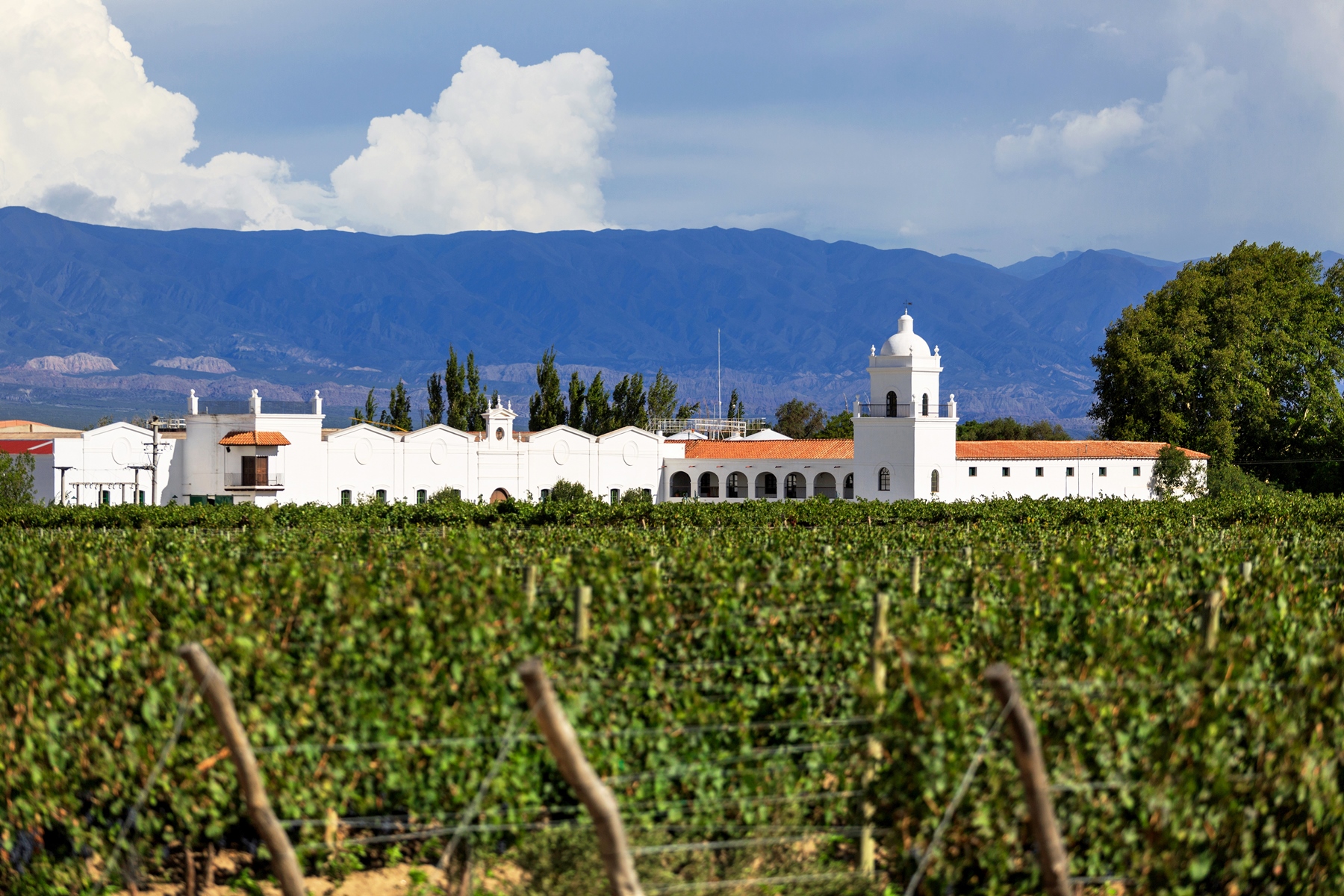 Salta vineyards, Argentina