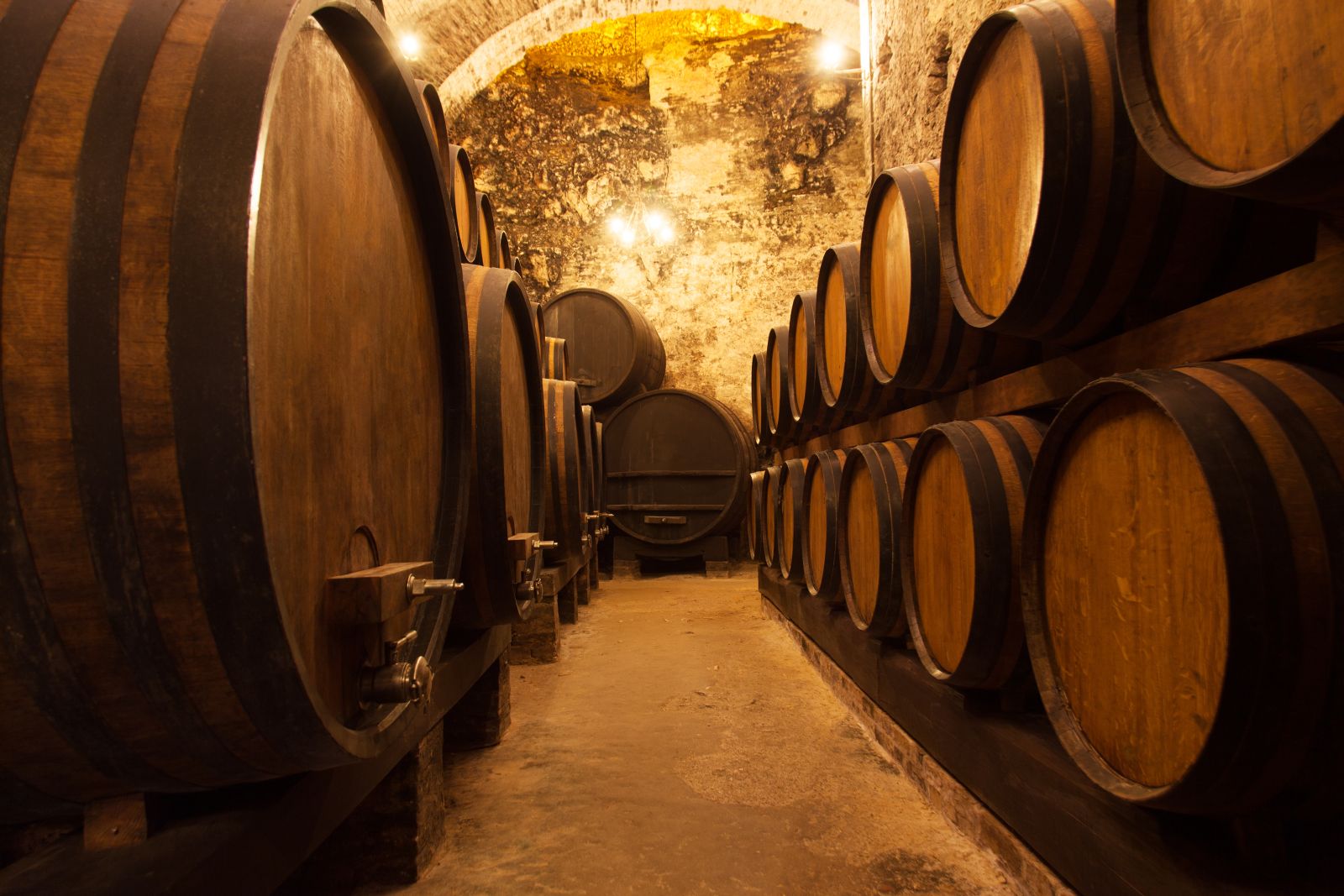 Wine barrels in Argentina