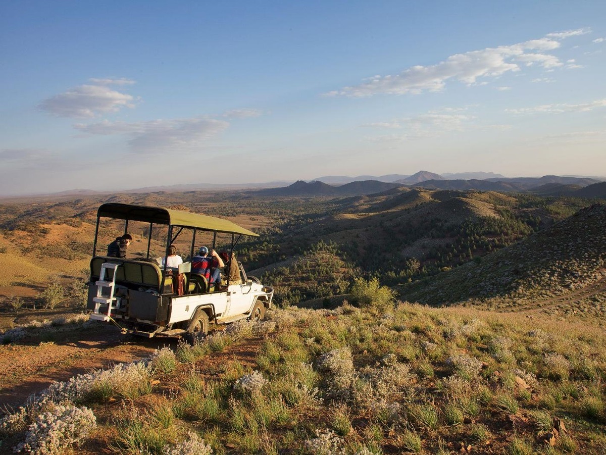 A scenic safari drive from the Arkaba Homestead in Australia