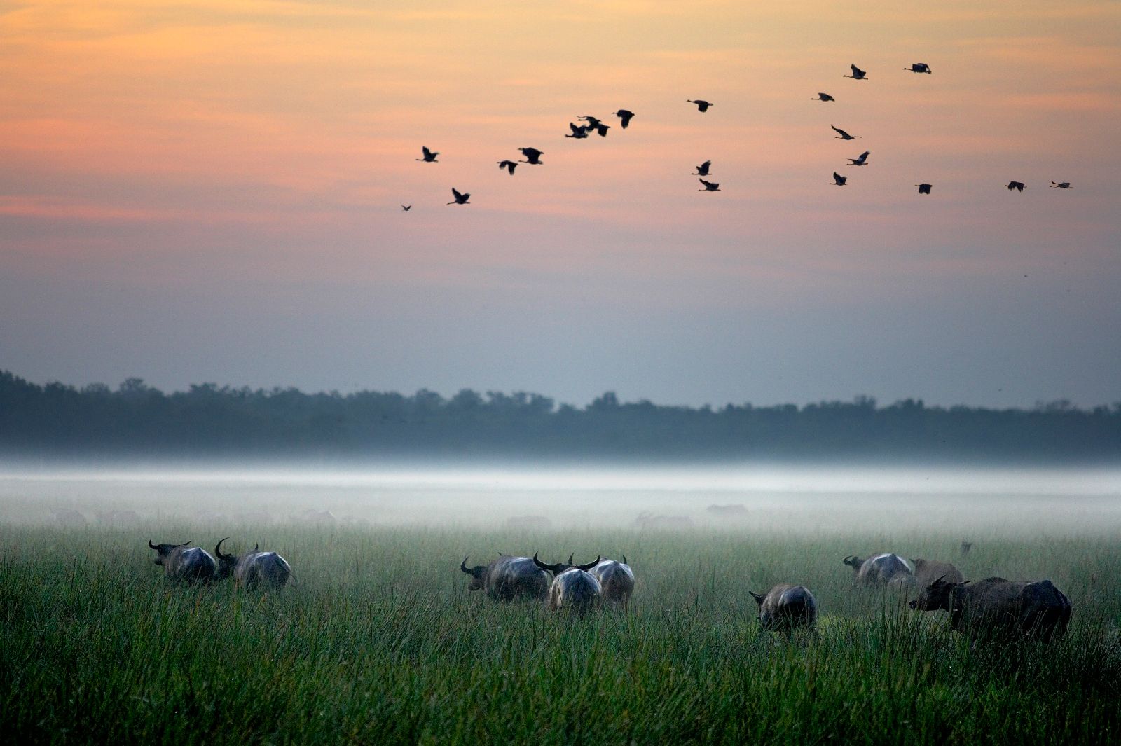 Sunrise over the floodplains at Bamurru Plains in Northern Australia