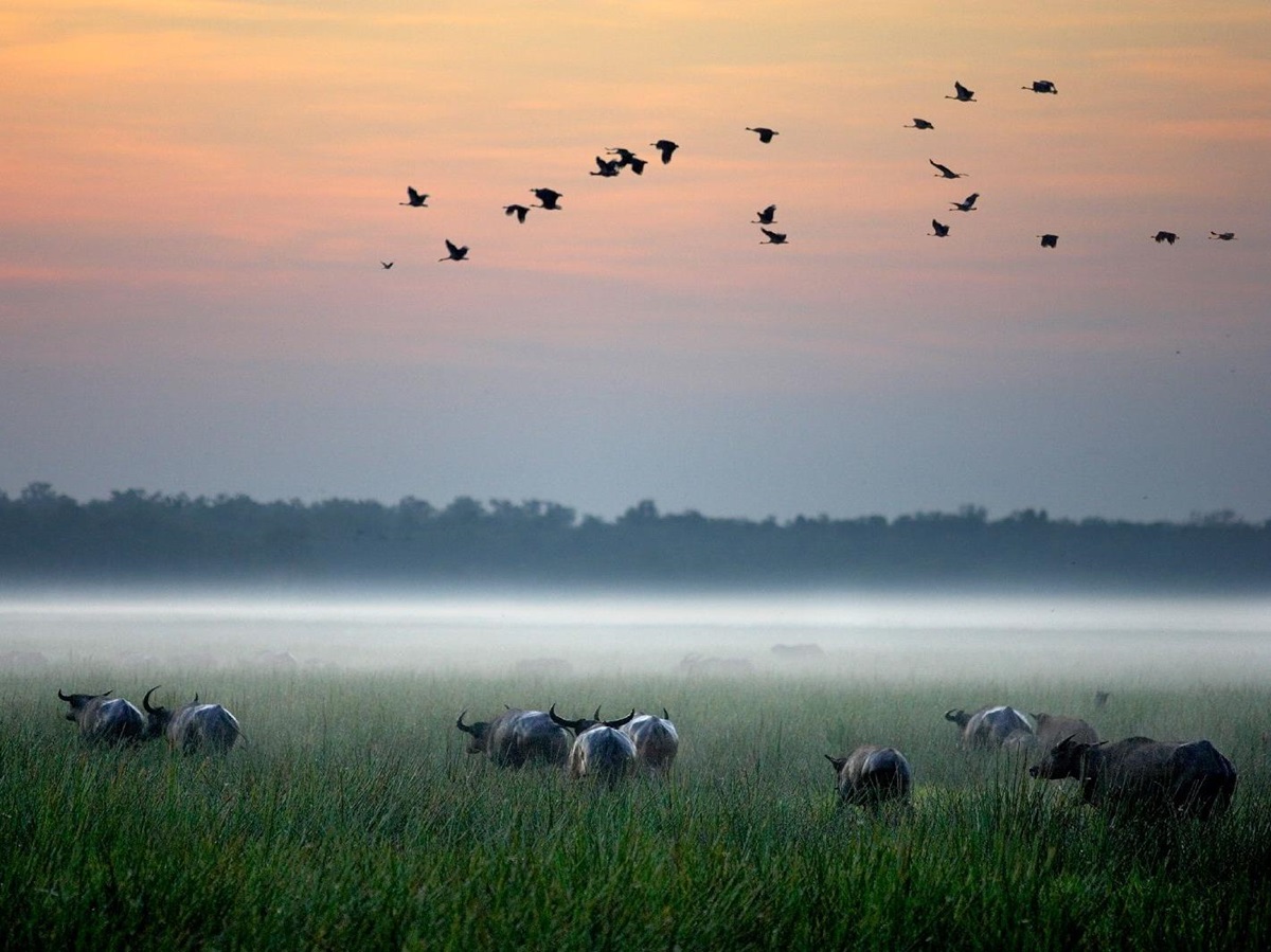 Sunrise over the floodplains at Bamurru Plains in Northern Australia