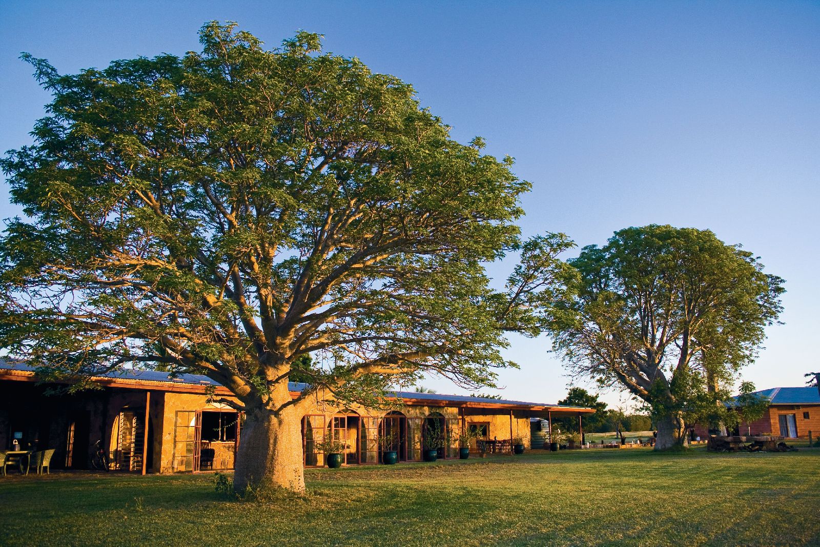 Homestead and grounds of the Bullo River Station Northern Territory Australia