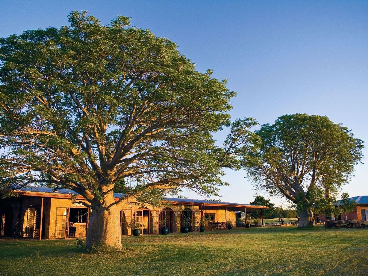 Homestead and grounds of the Bullo River Station Northern Territory Australia