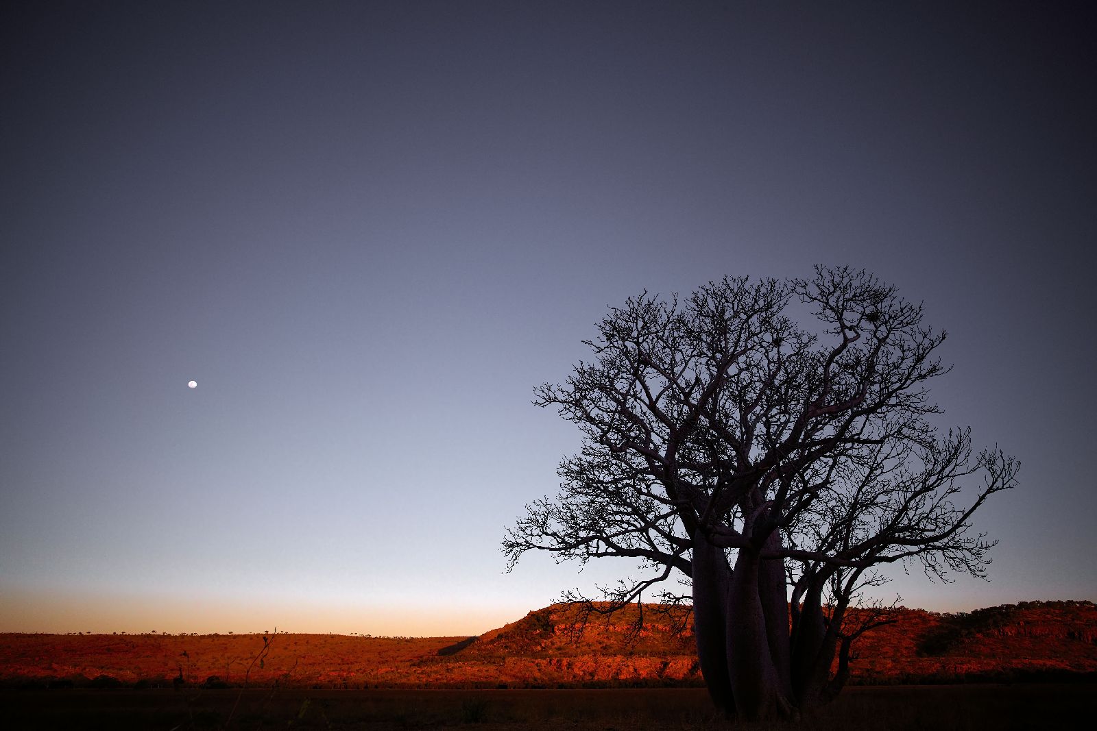 Outback night sky at the Bullo River Station in Australia