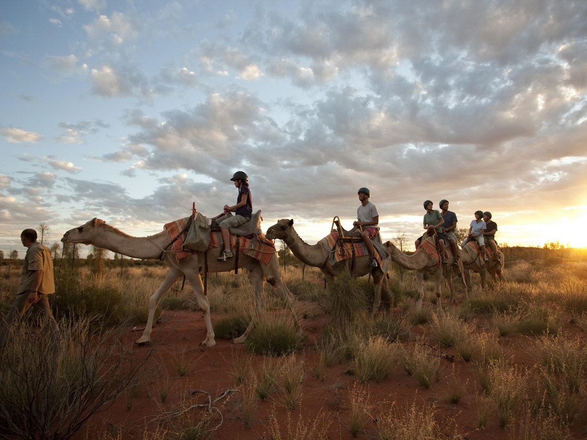 Outback adventures from Longitude 131 near Ayers Rock