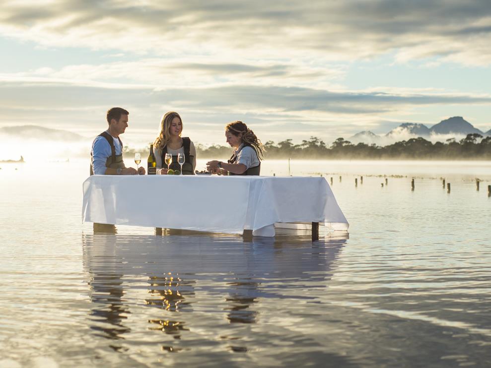Oyster shucking at Saffire Freycinet