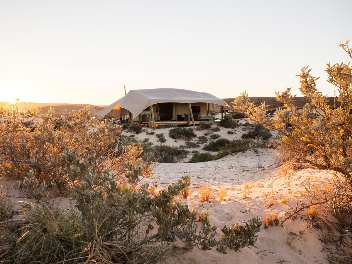 Honeymoon tent at Sal Salis