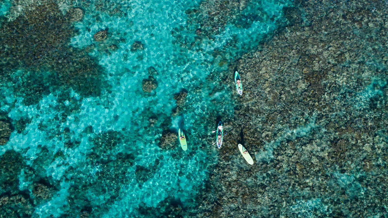 Paddle boarding over the Ningaloo Reef from Sal Salis luxury camp in Western Australia