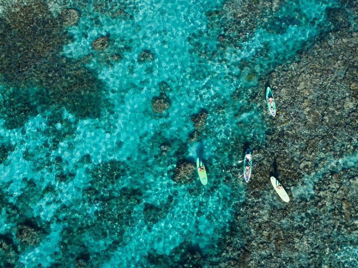 Paddle boarding over the Ningaloo Reef from Sal Salis luxury camp in Western Australia