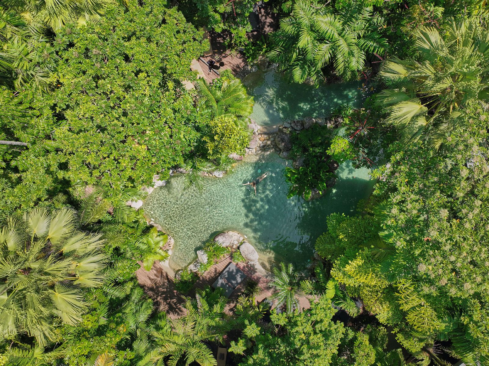 Aerial view of the lagoon style swimming pool at Silky Oaks Daintree Australia