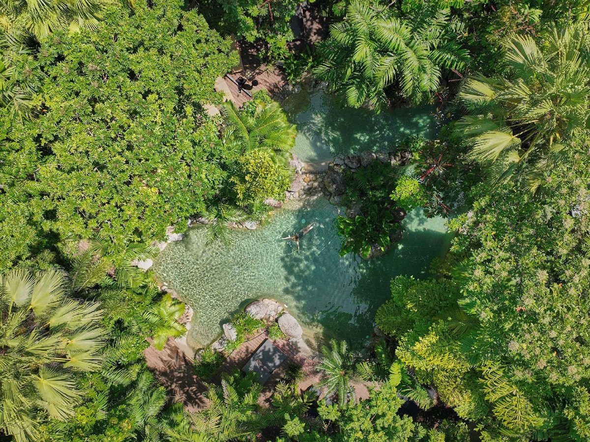 Aerial view of the lagoon style swimming pool at Silky Oaks Daintree Australia