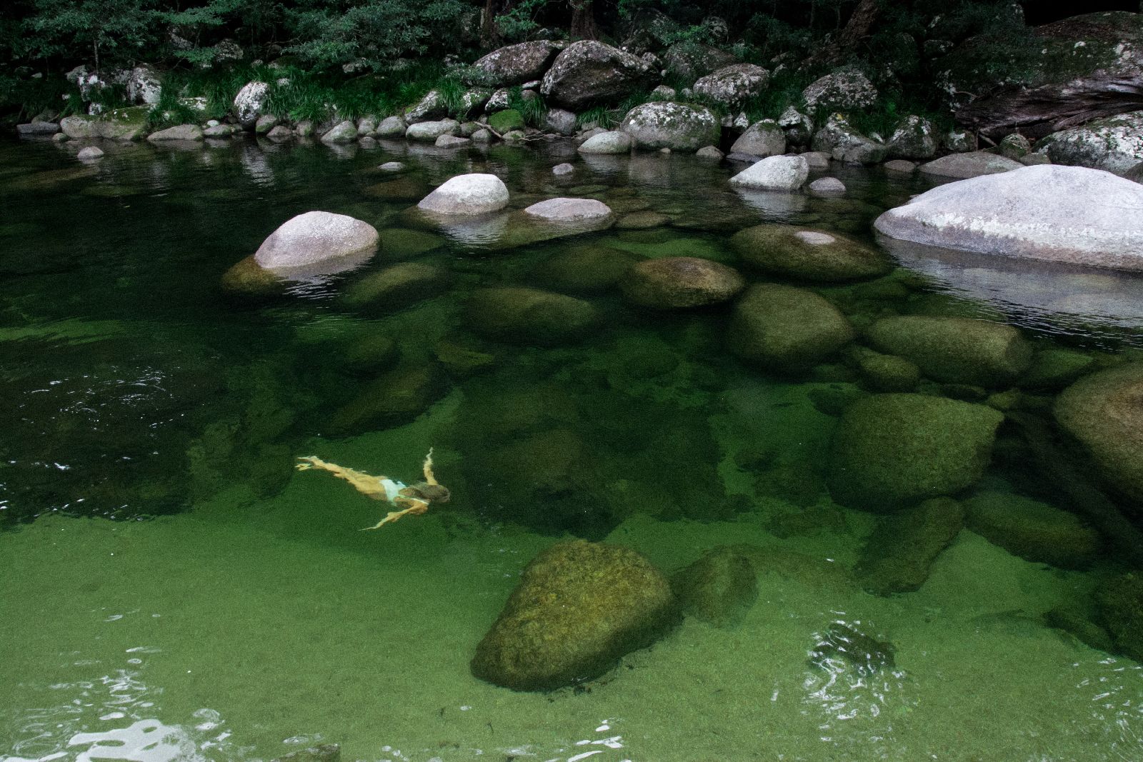 Swimming in Mossman Gorge from Silky Oaks Daintree Australia