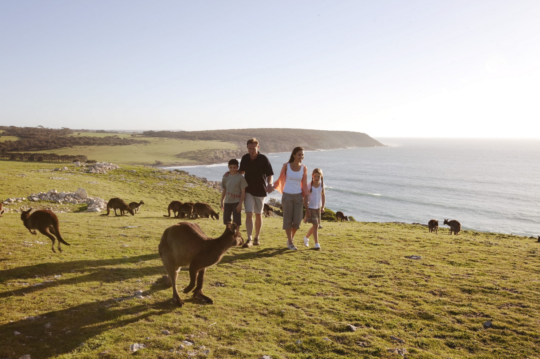 Family with kangaroos at Southern Ocean Lodge, Kangaroo Island