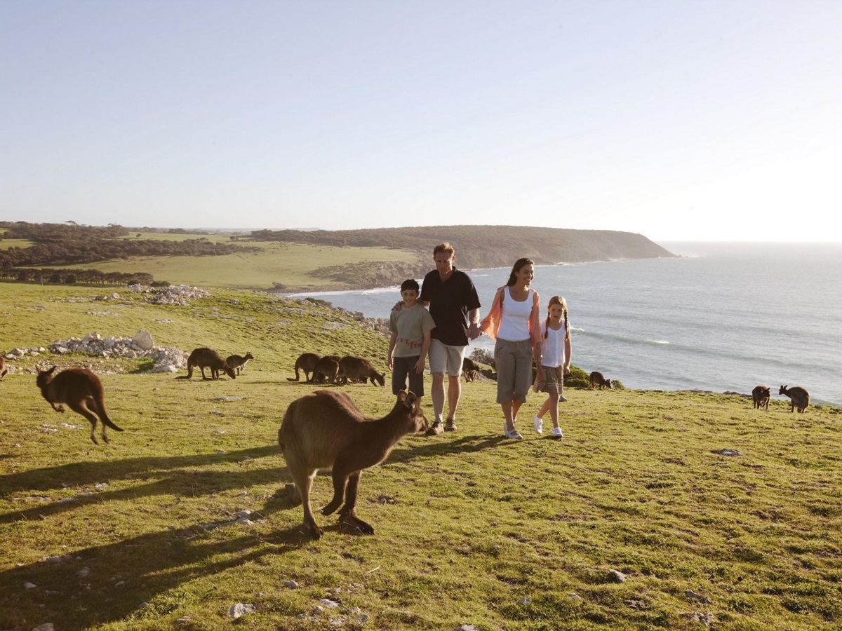 Family with kangaroos at Southern Ocean Lodge, Kangaroo Island