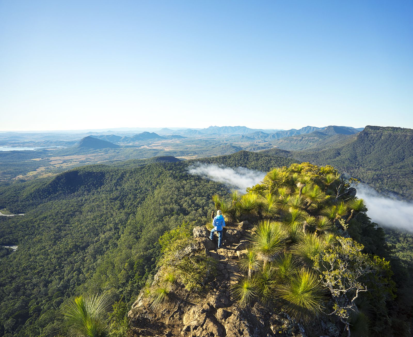 Scenic rim bush walk at Spicers Peak Lodge in Australia 