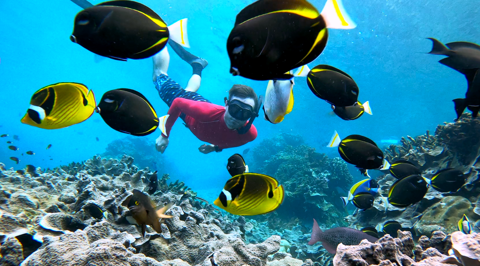 Diving at Christmas Island