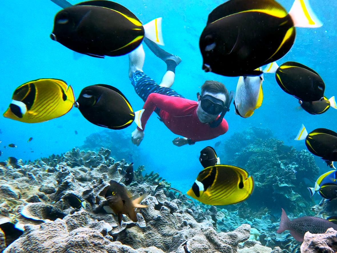Diving at Christmas Island