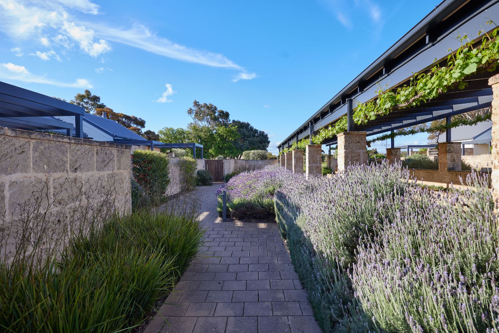 Exterior of The Louise lodge and plants in Australia