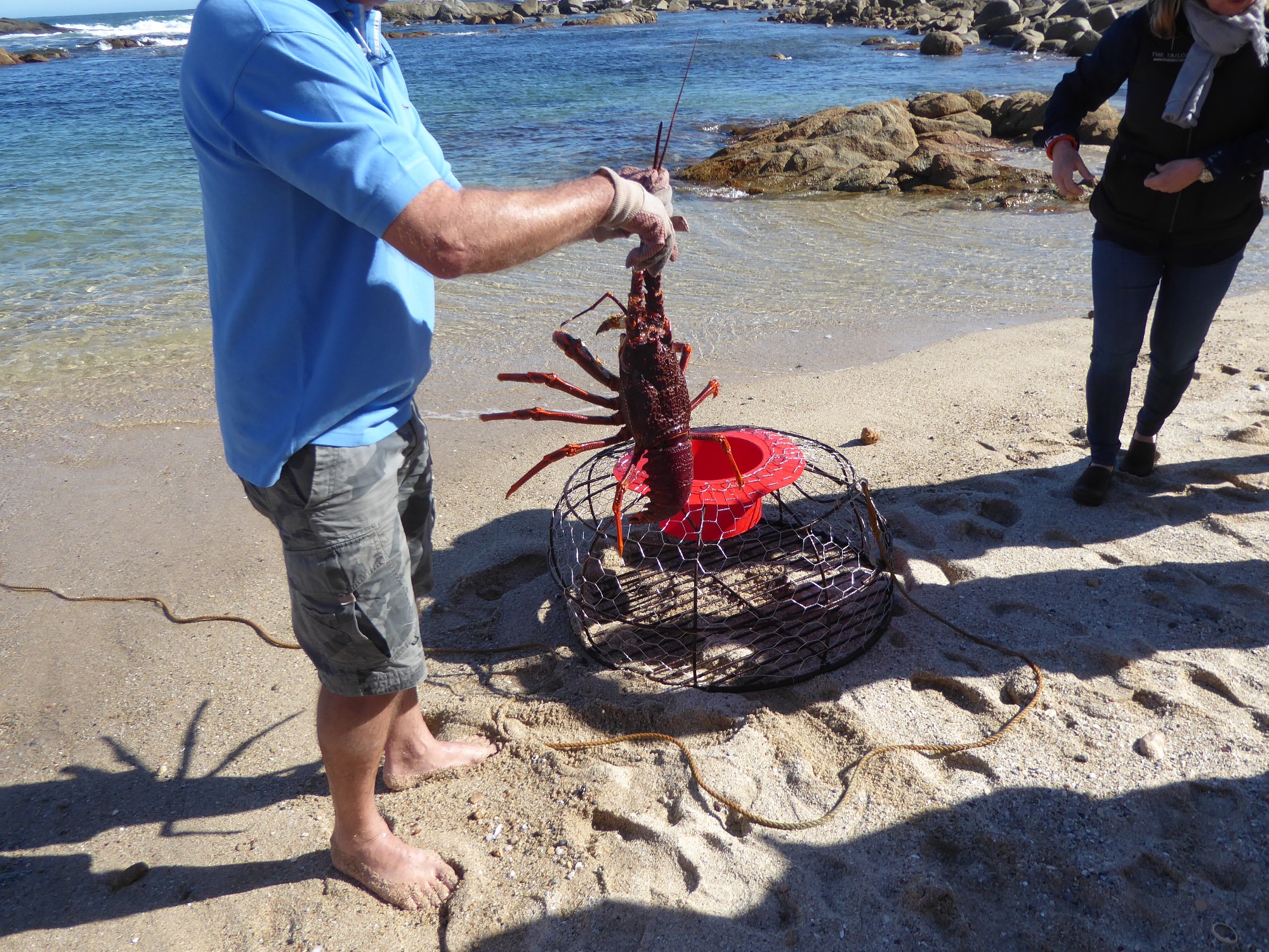 Pulling lobster pots in Coffin Bay, Australia