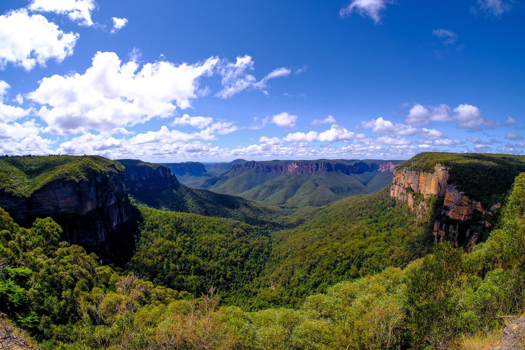View of the forest from the Blue Mountains in Australia