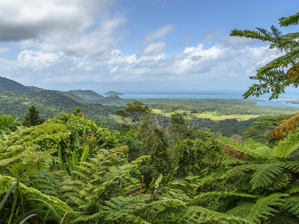 Daintree in Australia