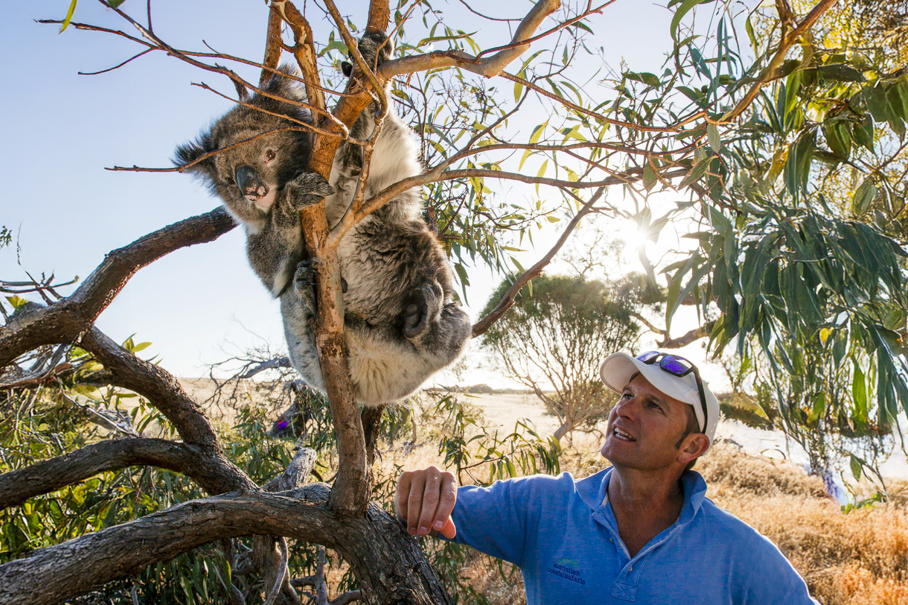 David Doudle with a koala