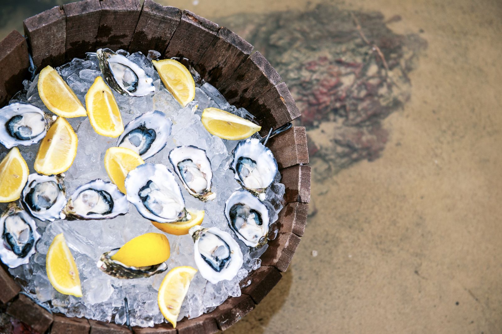 Freshly caught oysters in South Australia