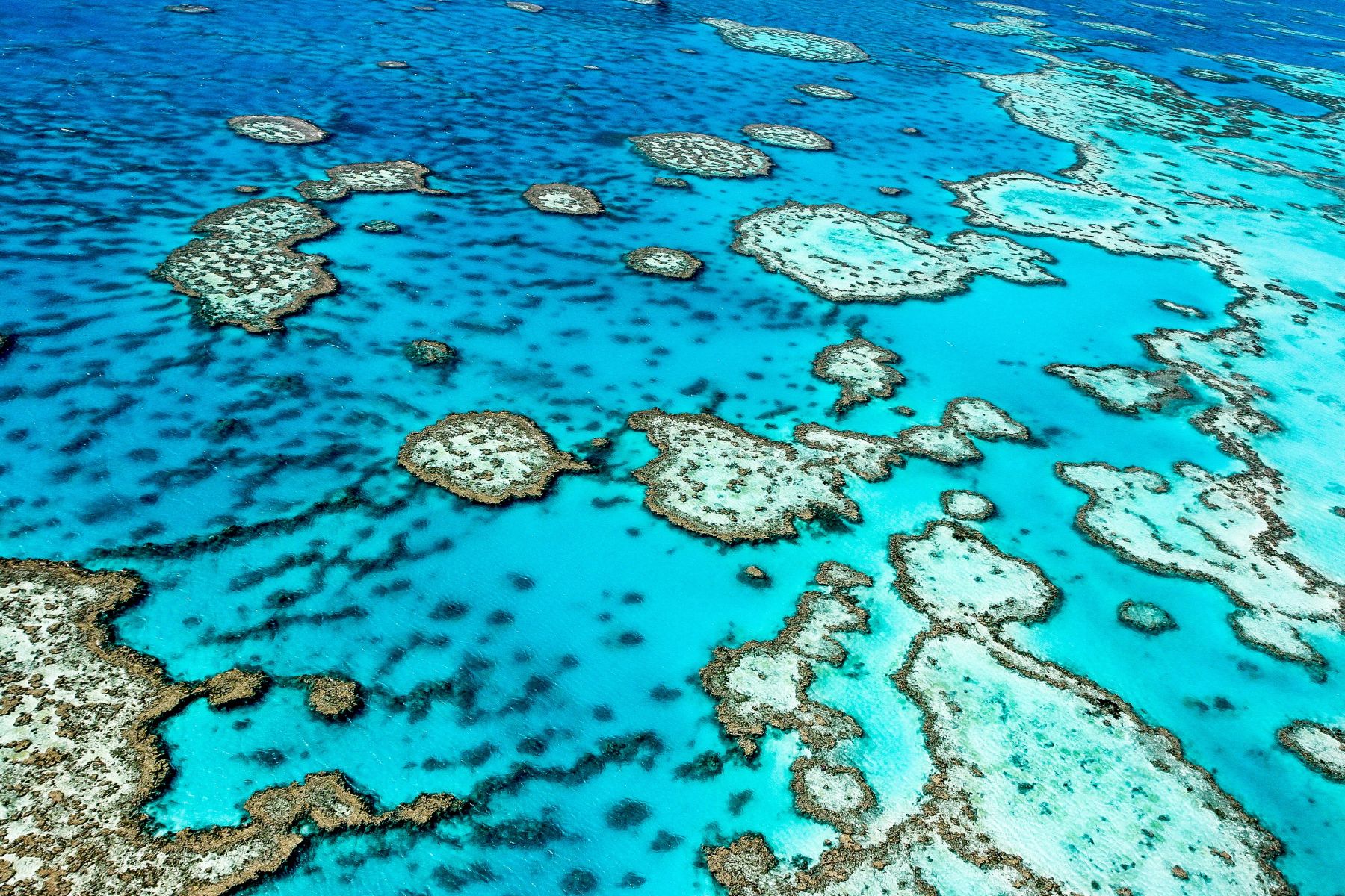 Aerial view of the Great Barrier Reef 