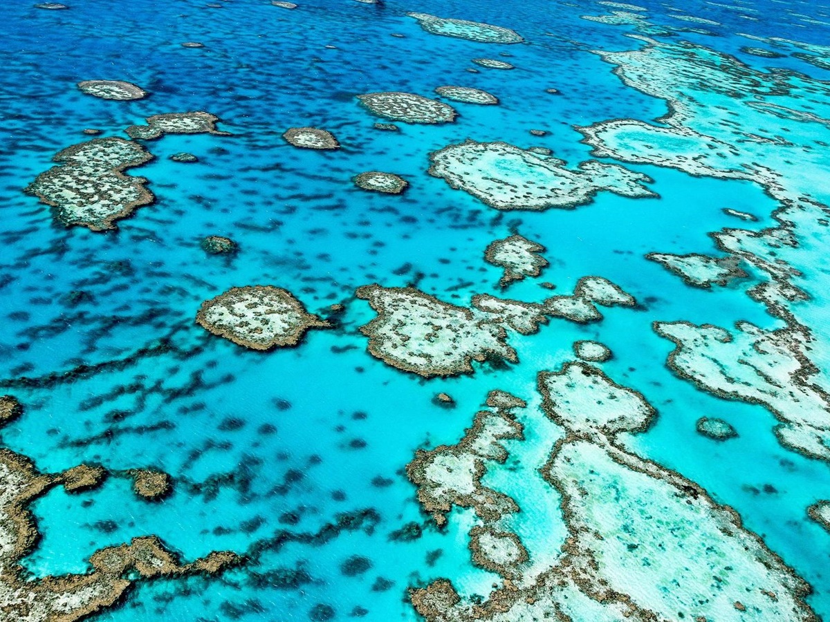 Aerial view of the Great Barrier Reef