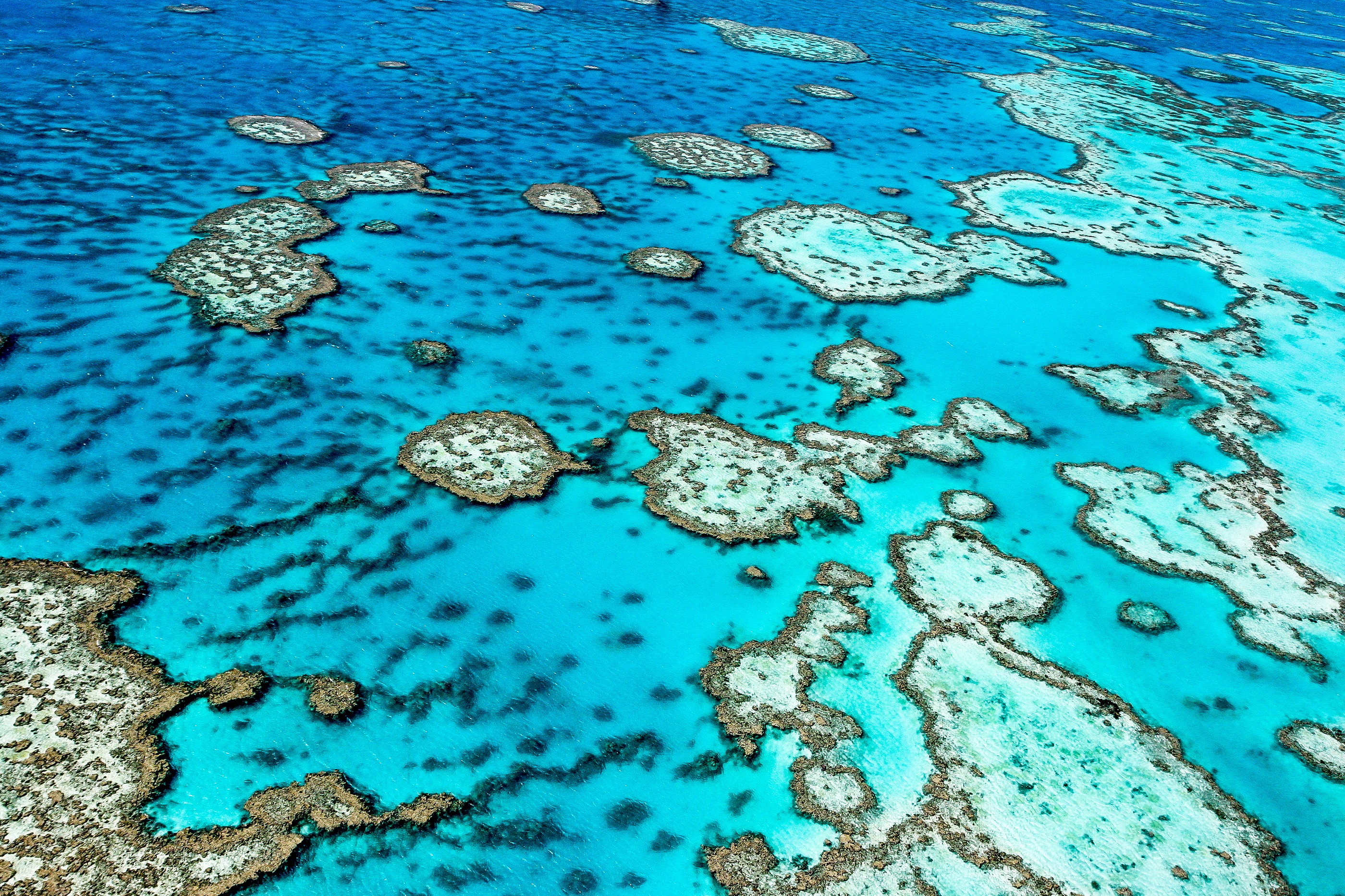 The Great Barrier Reef in Australia