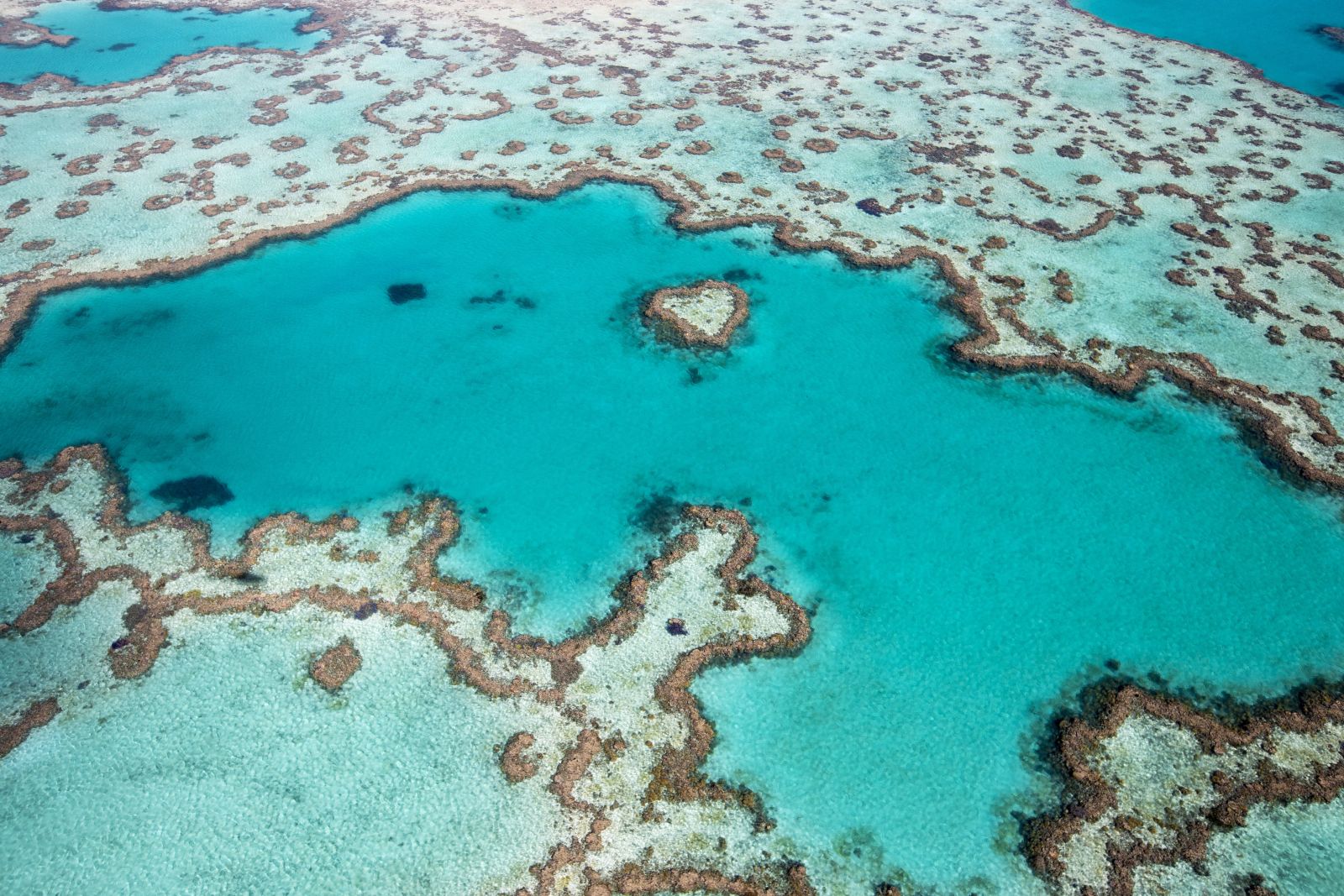 Aerial view of Hardy Reef in Australia's Great Barrier Reef