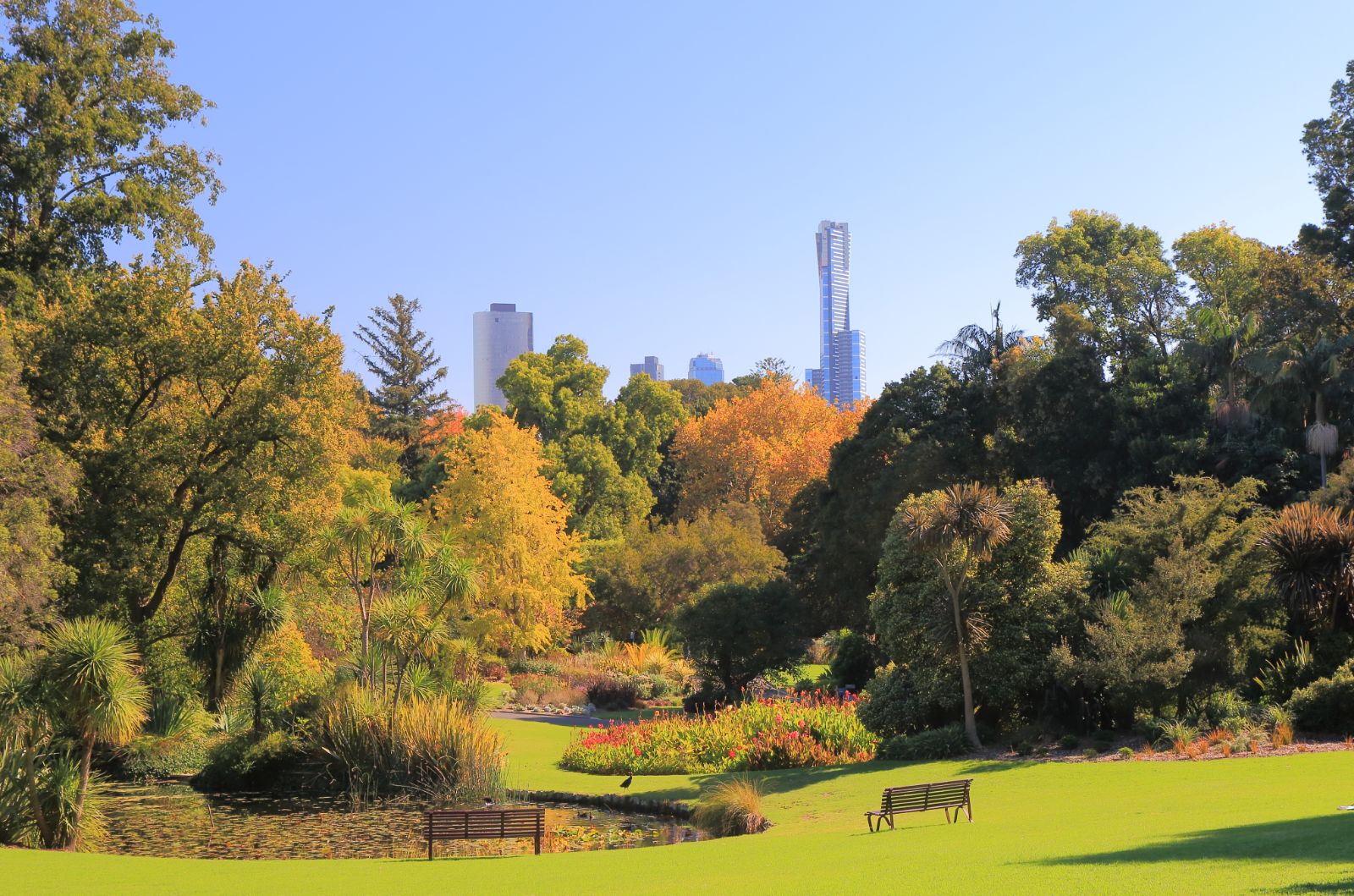 Vibrant Botanical Gardens in Melbourne, Australia