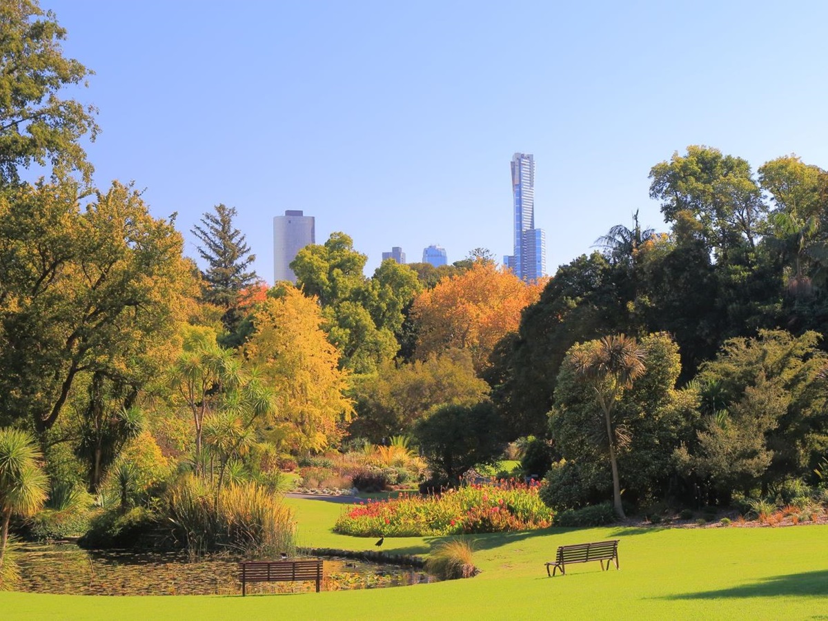 Vibrant Botanical Gardens in Melbourne, Australia