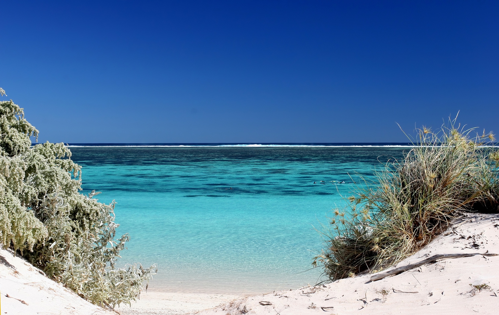 beach at Ningaloo Reef Australia