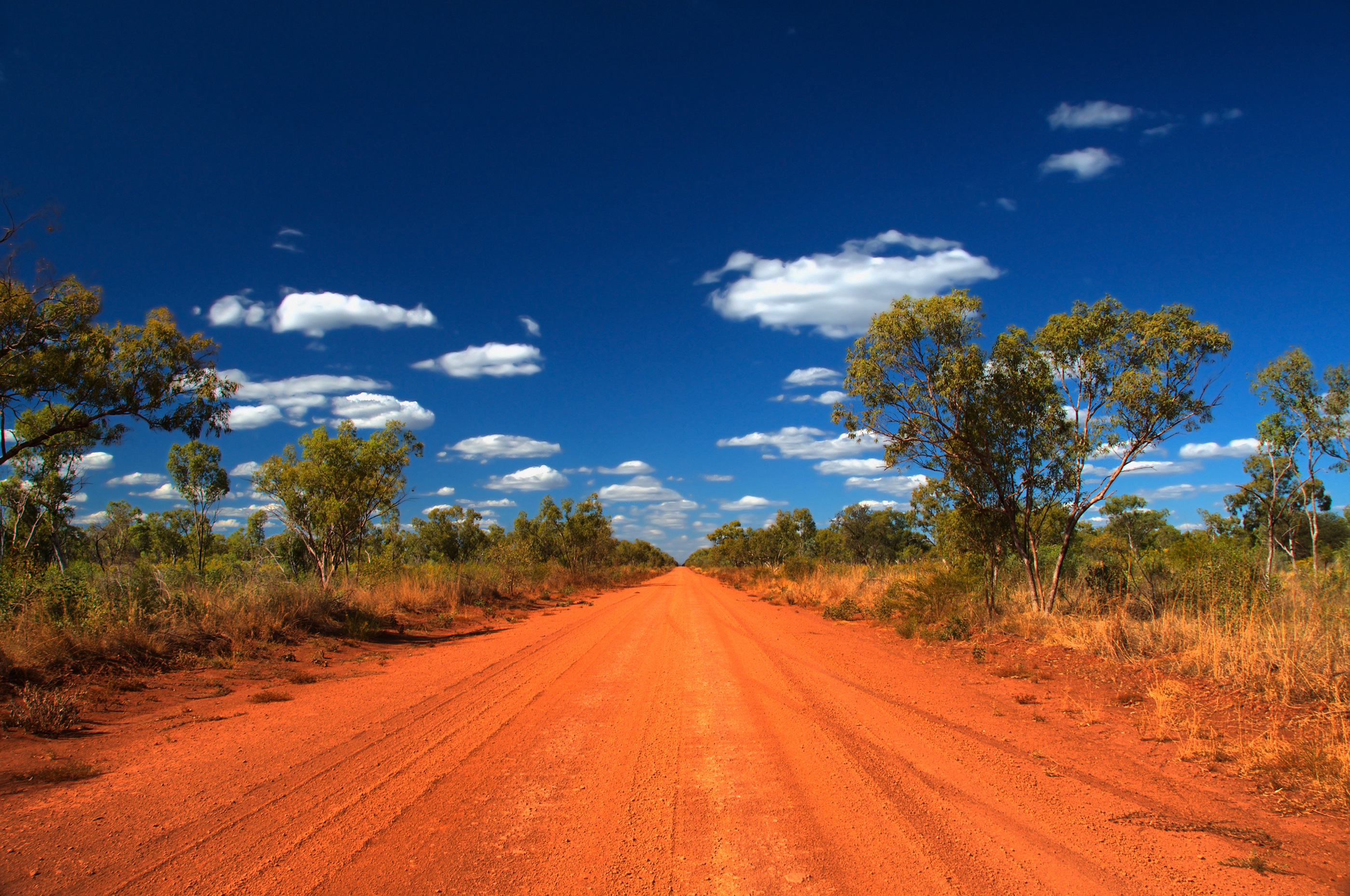 A Taste of the Outback: Uncovering Australia's Most Common Native Fruits and Vegetables