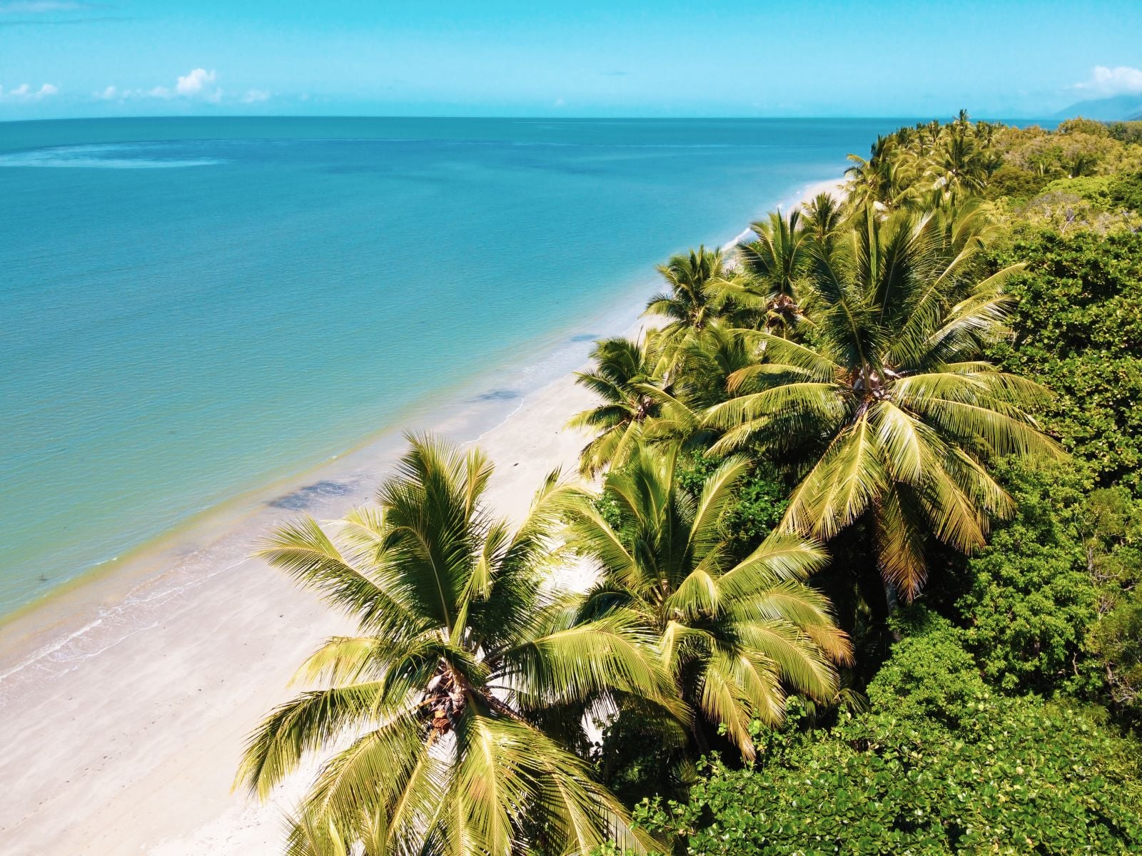 Aerial view of the palm trees and white sand of Four Mile Beach in Port Douglas, Australia