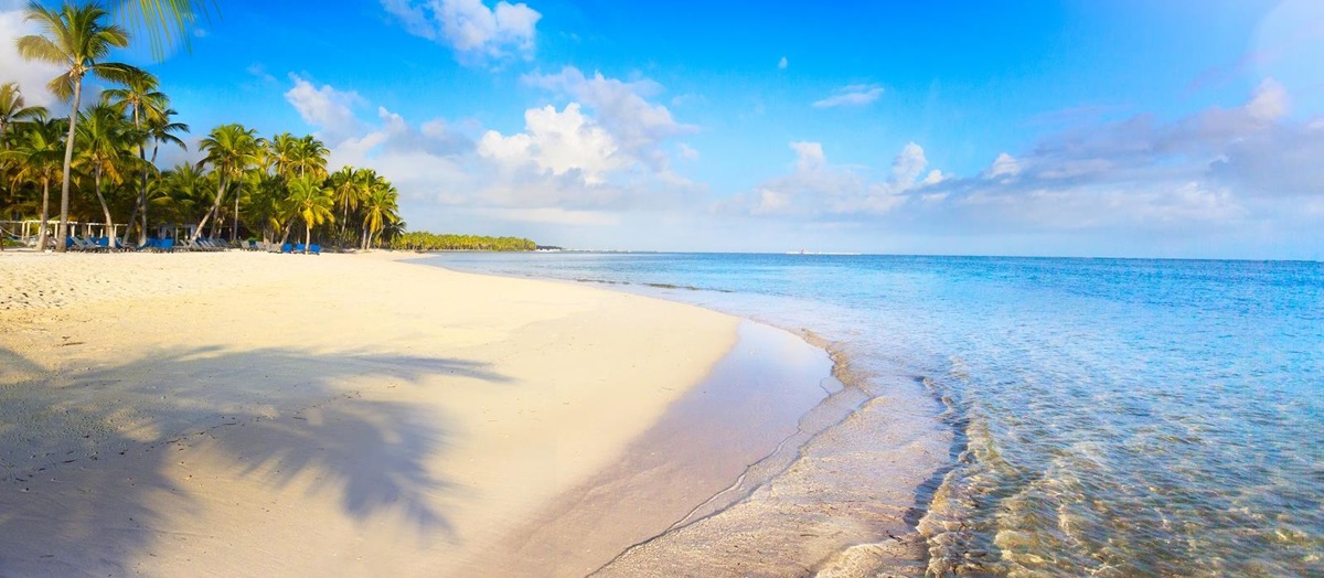 A beach in The Bahamas