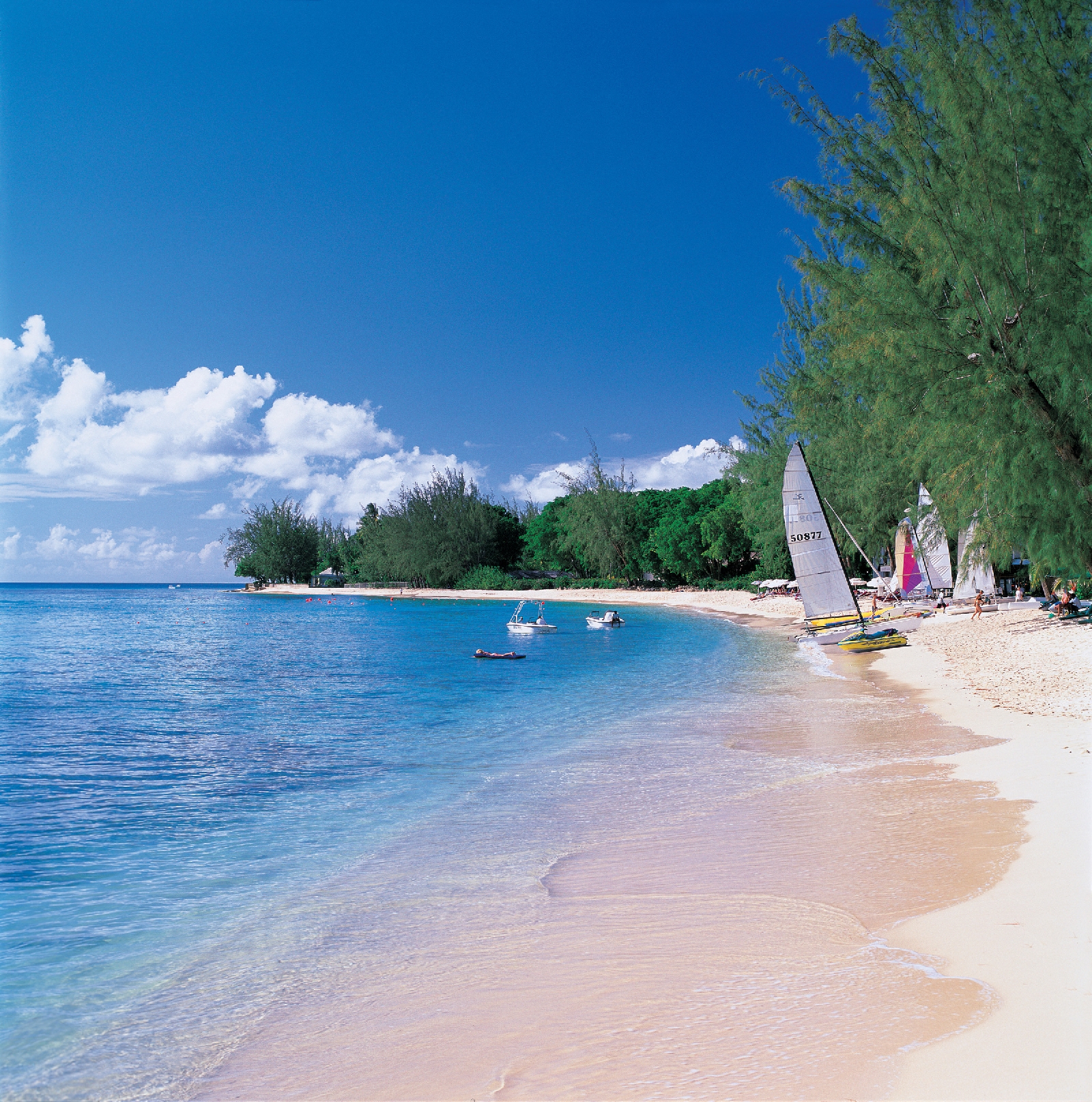 sailing boats on the beach at coral reef club, barbados