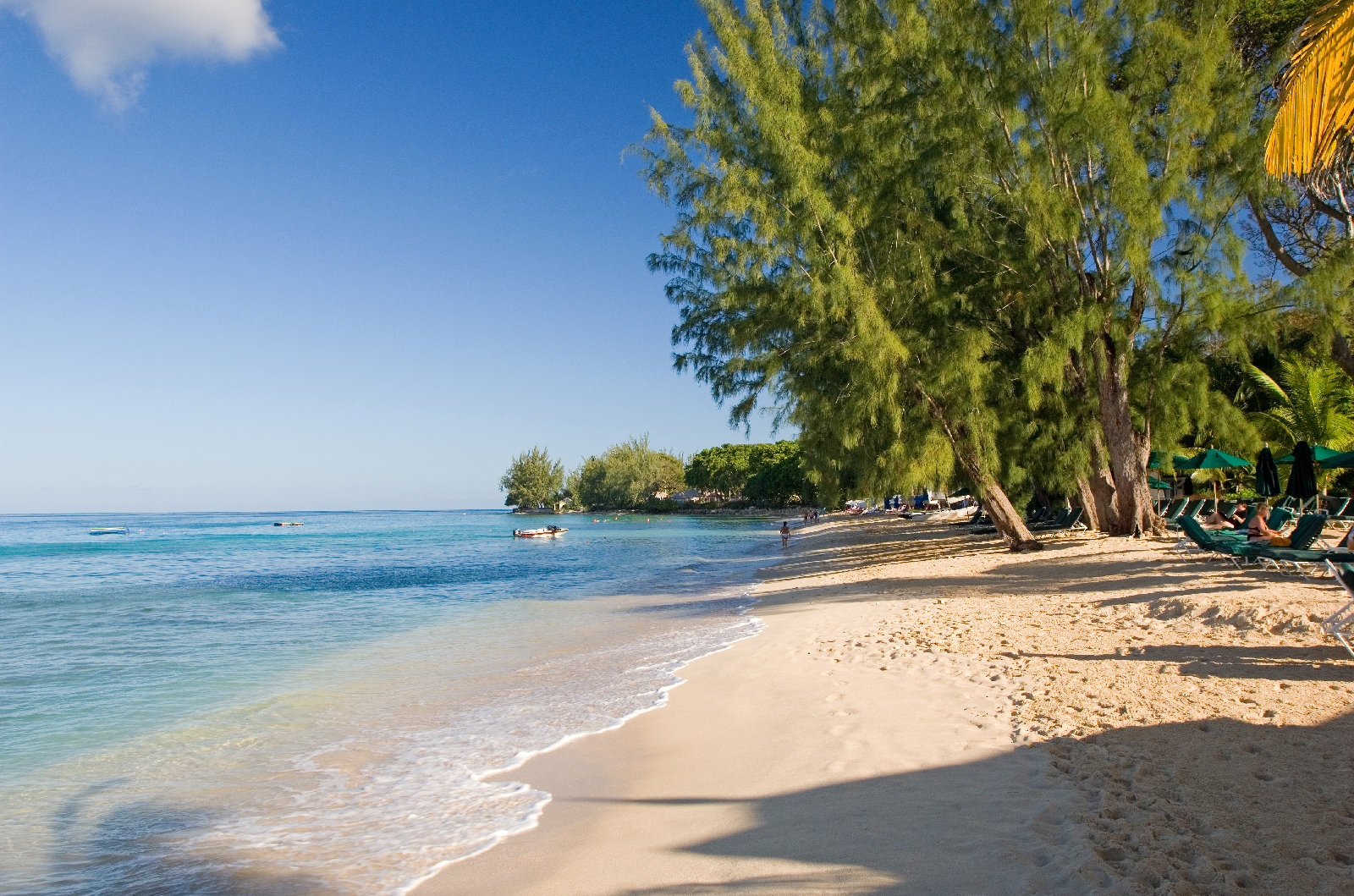 the beach at coral reef club, barbados