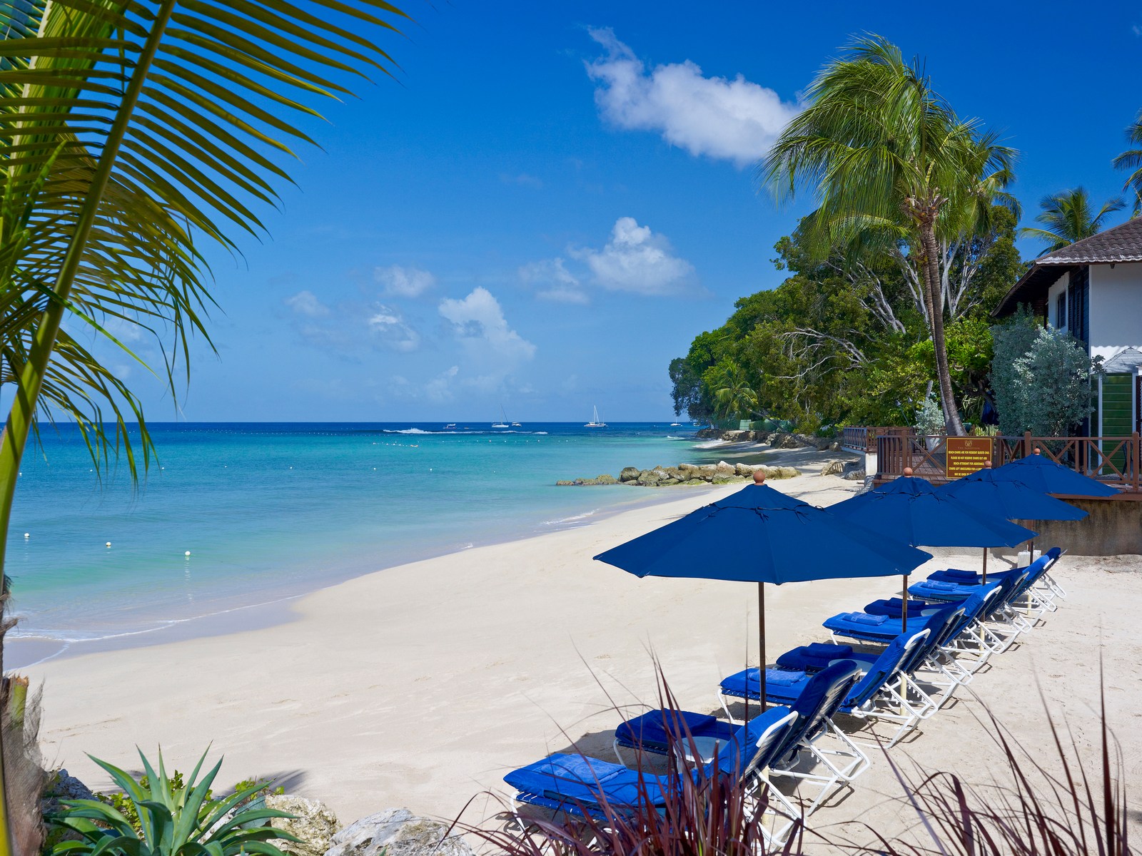 Sunloungers at the main beach of the Sandpiper, Barbados