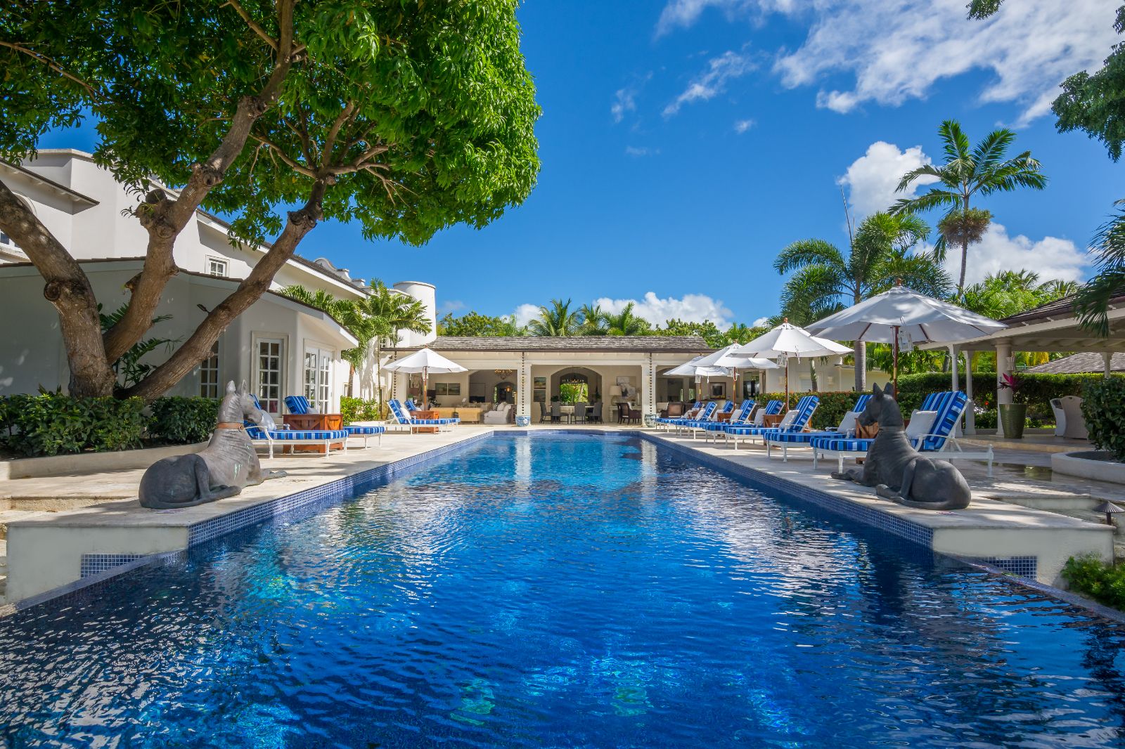 Swimming Pool at Casablanca in Barbados
