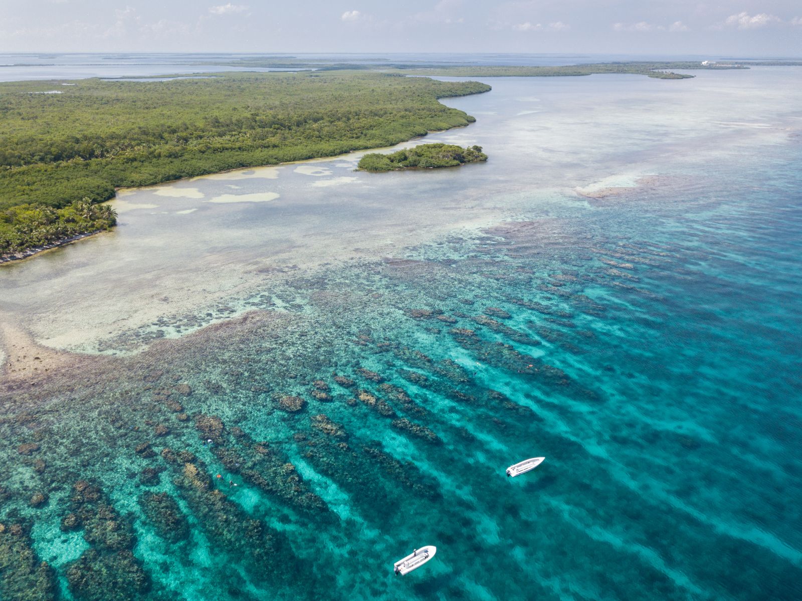 Turneffe Atoll barrier reef, Belize 