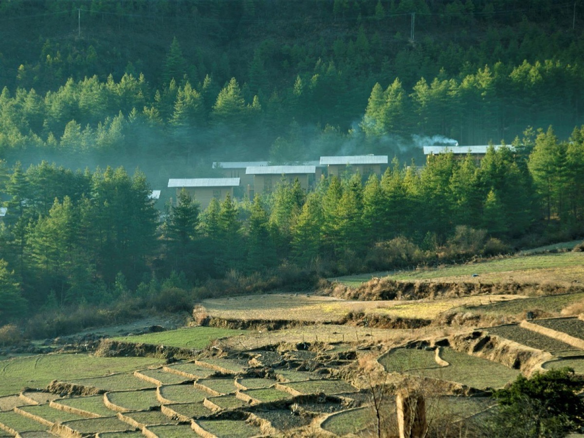 Surrounding forest and rice paddies at luxury hotel Amankora Paro in Bhutan