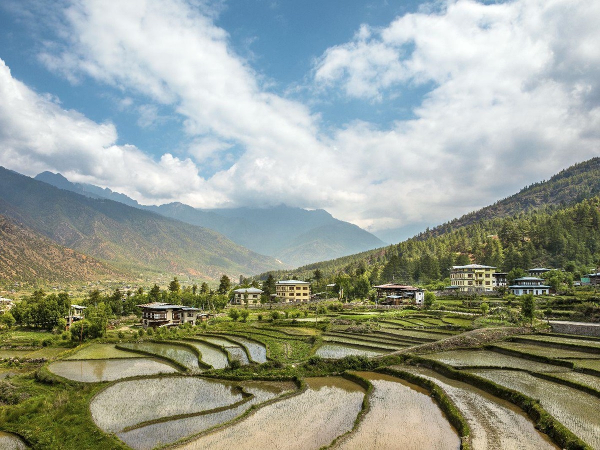 Rice paddy scenery near the COMO Uma Paro Bhutan