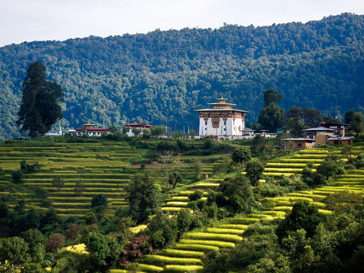 A white temple amid green rice terraces