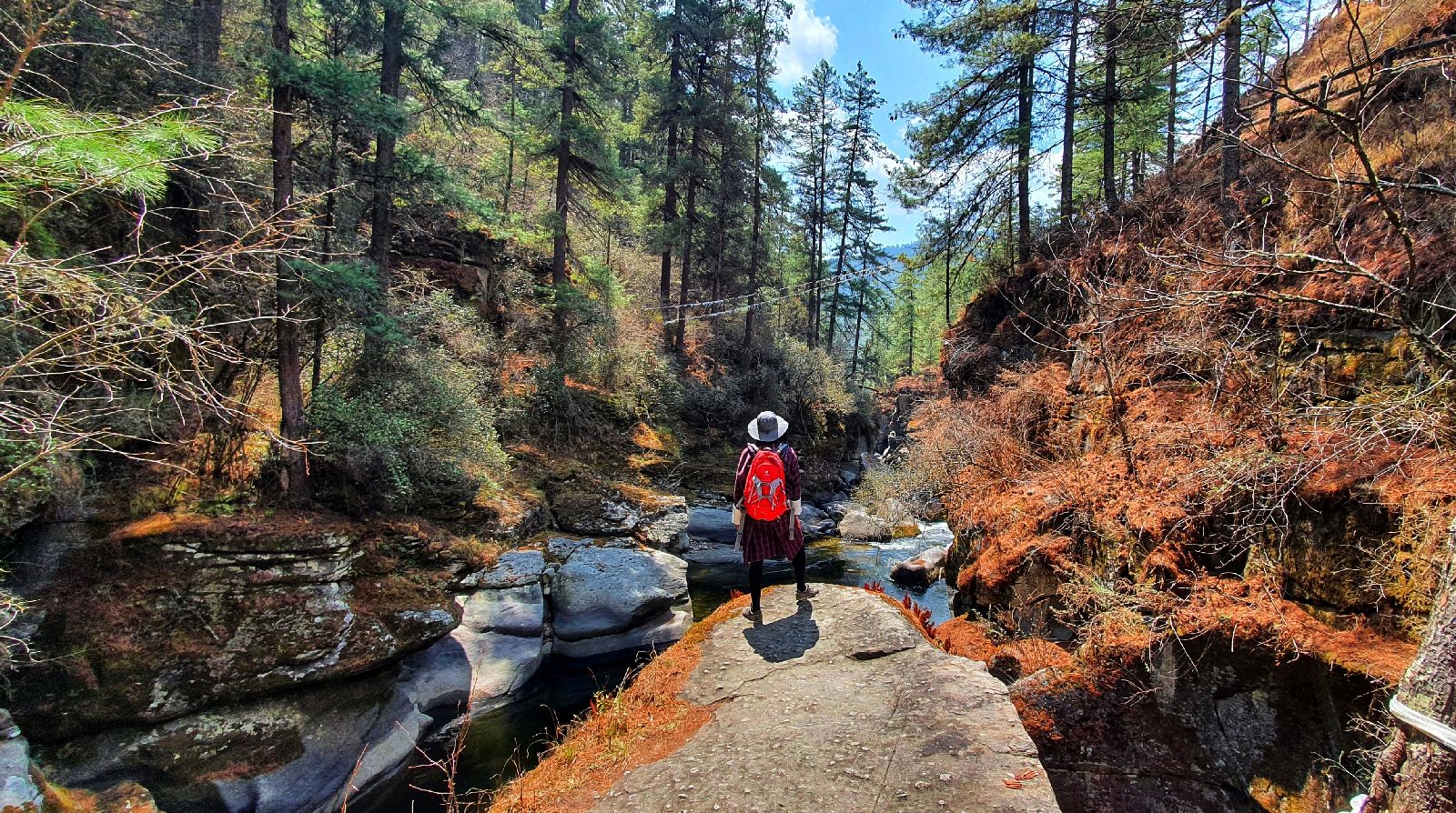 Hiker enjoying the forests on the Trans Bhutan Trail