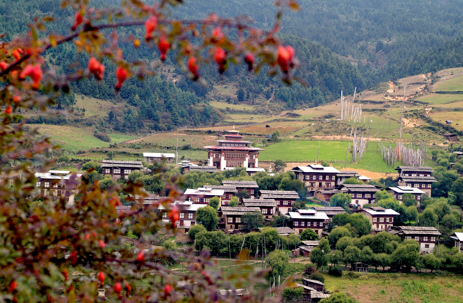 Ura mountain village, Bumthang, Bhutan