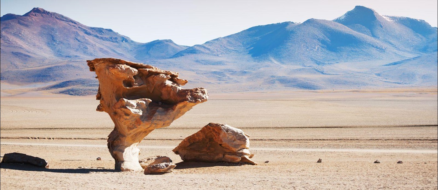 A stone tree rock formation in the Eduardo Avaroa Andean Fauna National Reserve of Sur Lípez Province, Bolivia.